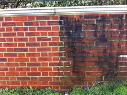 High Level Jet Washing